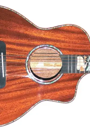 Willow Creek SUNCREEK-M Suncreek Mahogany Guitar - Terry Carter Music Store New Release