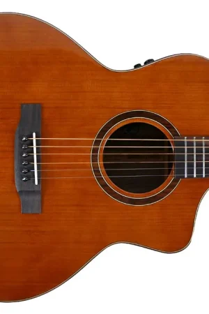 Willow Creek FX-PG73 Ebony Deluxe Guitar - Terry Carter Music Store Buy Online