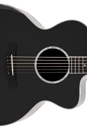 Willow Creek FX-PJ95 Acoustic Jumbo Pro Guitar - Terry Carter Music Store Markdown