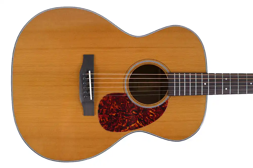 Bristol by Blueridge BL-143 000 Guitar - Terry Carter Music Store Budget
