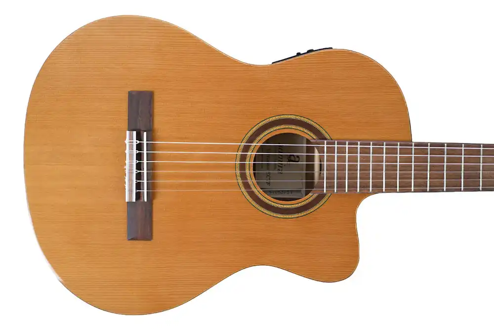 Last Chance Admira VIRTUOSO-ECTF Thinbody Acoustic-Electric Guitar - Terry Carter Music Store