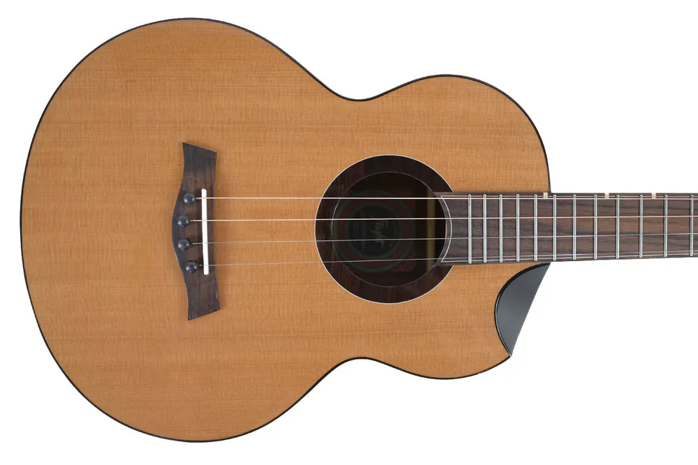 High Quality Flight Lily EQ-A Baritone Ukulele - Terry Carter Music Store