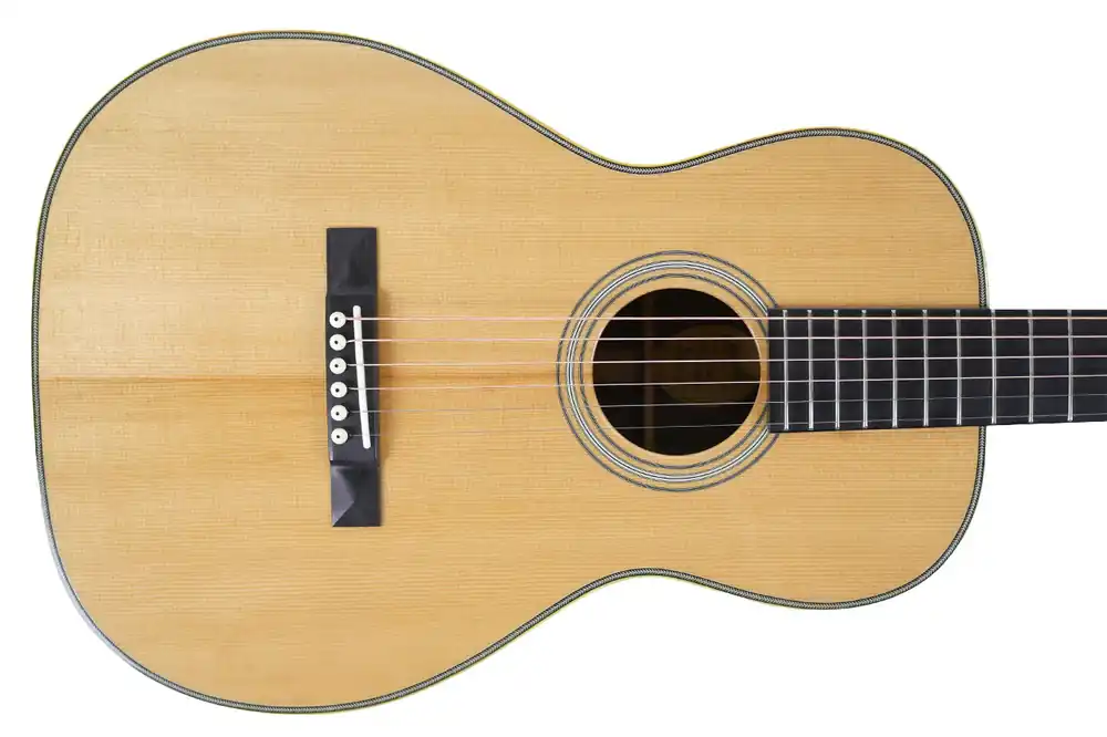 Blueridge BR-361 Acoustic Parlor Guitar - Terry Carter Music Store Buy Direct