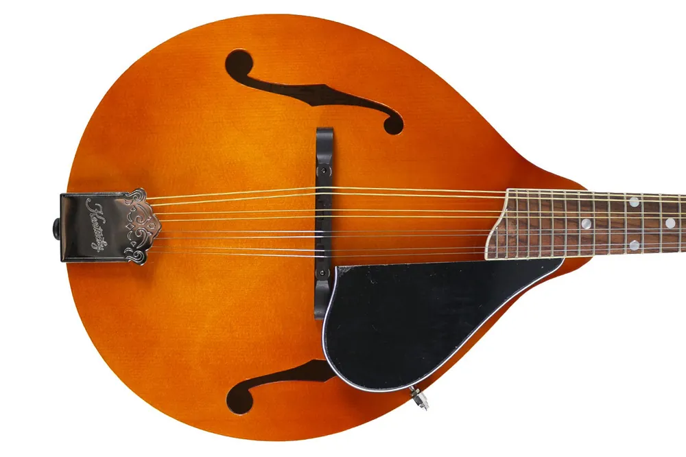 Luxury Kentucky KM-252 Amber Mandolin - Terry Carter Music Store
