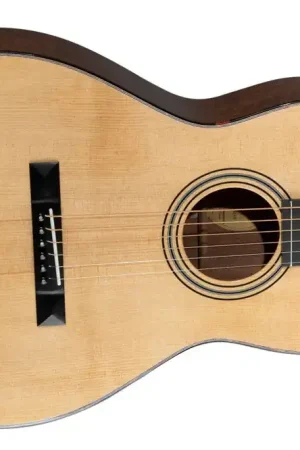 Wholesale Blueridge BR-341 Acoustic Parlor Guitar - Terry Carter Music Store