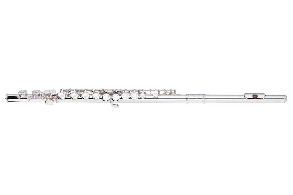 Stagg WS-FL111 C Flute - Terry Carter Music Store Fan Favorite