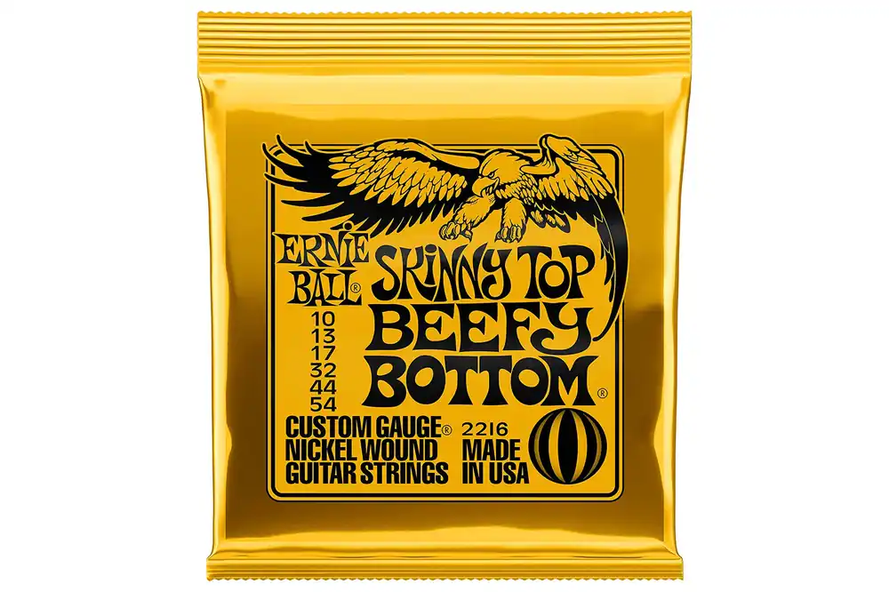 Warranty Included Ernie Skinny Top Beefy Bottom Strings - Terry Carter Music Store