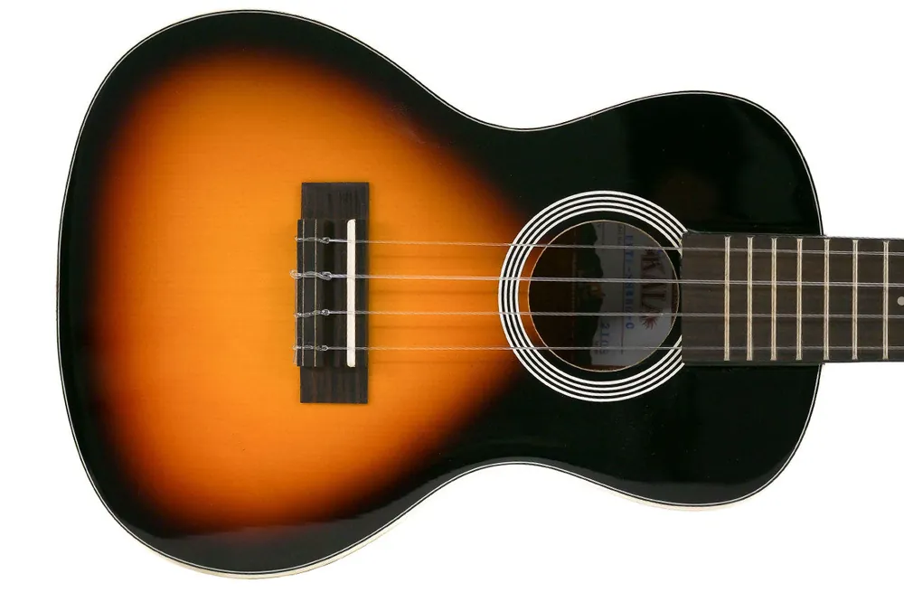 Kala Uke Like The Pros Concert Ukulele - Terry Carter Music Store Reduced Price