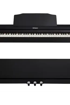 Bulk Order RP10288-Key Digital Piano Black : Roland