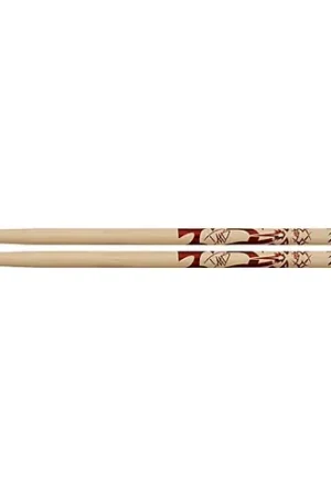ZASDG Dave Grohl Signature Drum Sticks : Zildijan One Day Deal