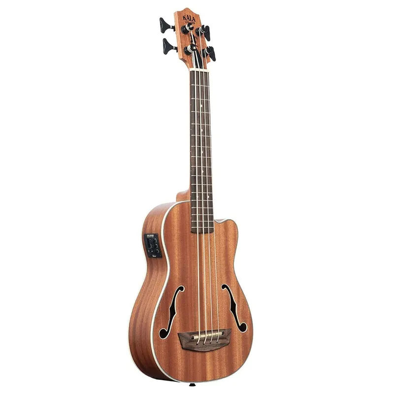 Modern Journeyman Acoustic-Electric U BASS with F-Holes
