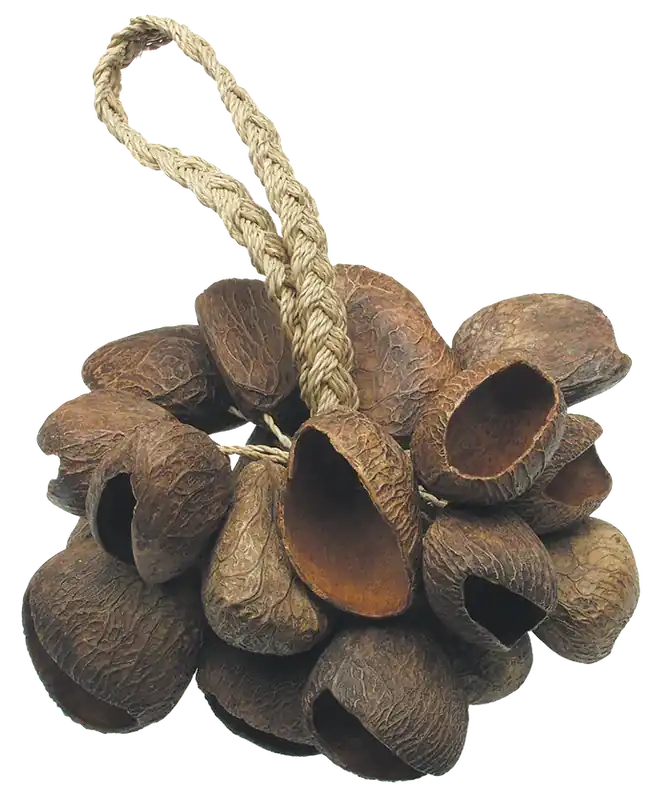 Toca Seed Shell Shaker Exclusive