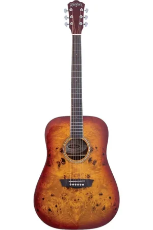Washburn DFBDA Deep Forest Burl Dreadnought Acoustic Guitar. Amber Fade Free Shipping