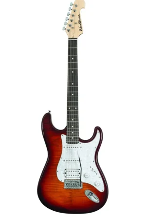 Washburn Sonamaster Deluxe Sunburst H/S/S Special Offer