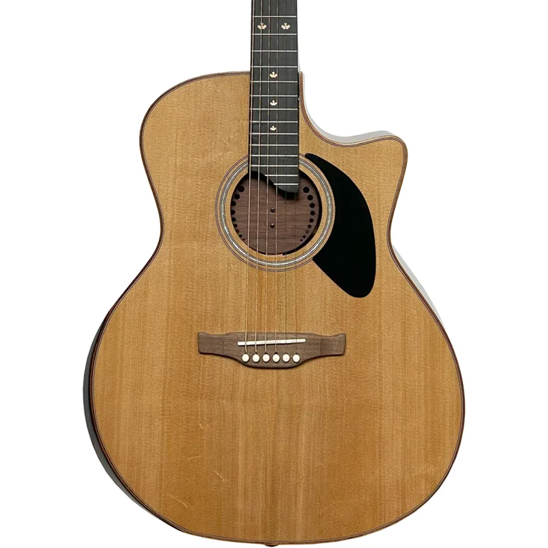 Riversong P555CEA Dragon Slayer Grand Auditorium Acoustic Electric Gui Clearance