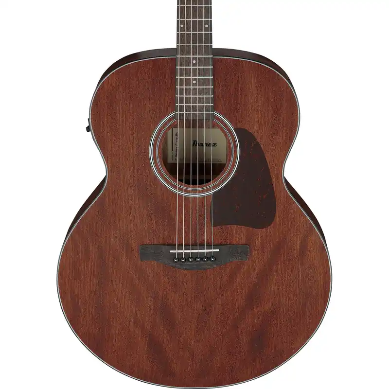 Ibanez AJ54E Acoustic Electric Guitar - Open Pore Natural New Arrival