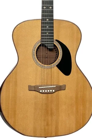 Worldwide Shipping Riversong P555-A Folker Acoustic Guitar