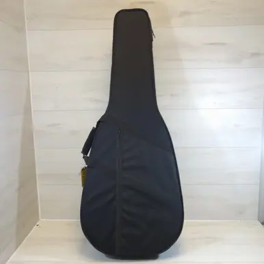 Used ACOUSTIC POLYFOAM CASE Guitar Case Express Delivery